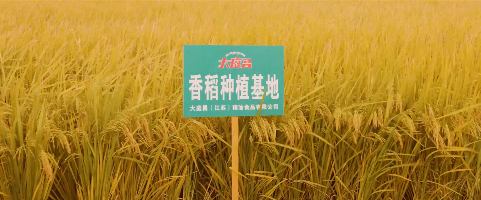 联系我们背景